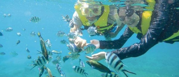 PADI Open Water Course @ Perhentian Island - Image 3