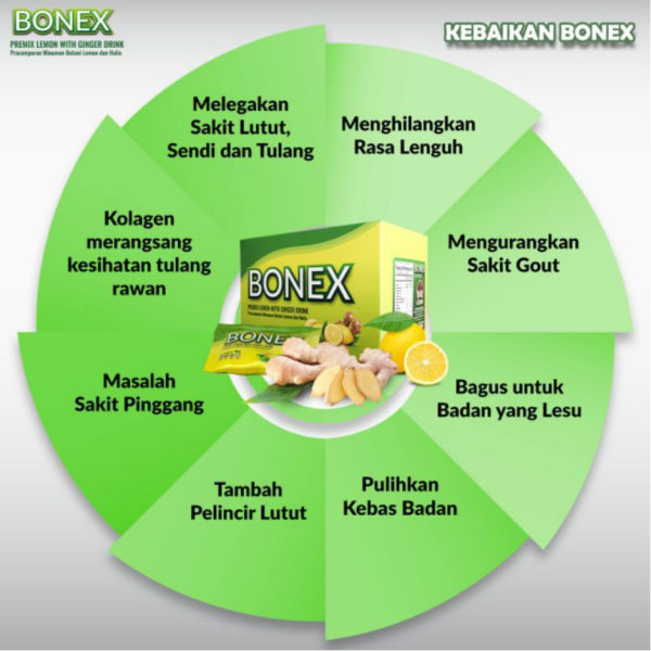 BONEX MINUMAN PRACAMPURAN BOTANI LEMON DAN HALIA - Image 3