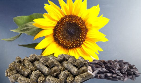 Sunflower Meal (Metric Ton)